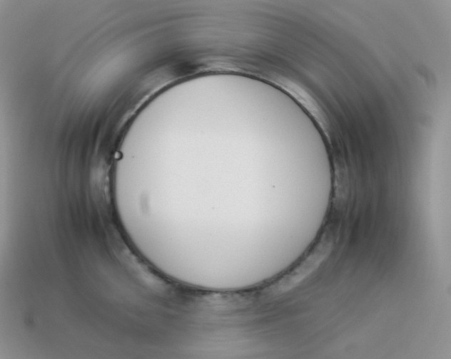 X0000113910906200910151415