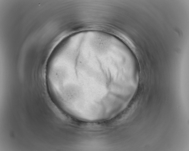 X0000113910907200910151415