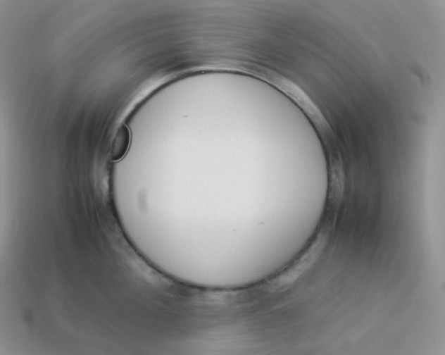 X0000113910908200910151415