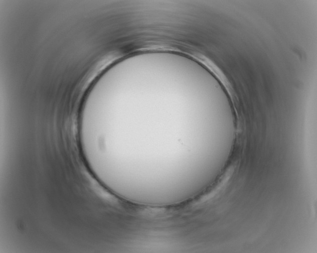 X0000113910909200910151415