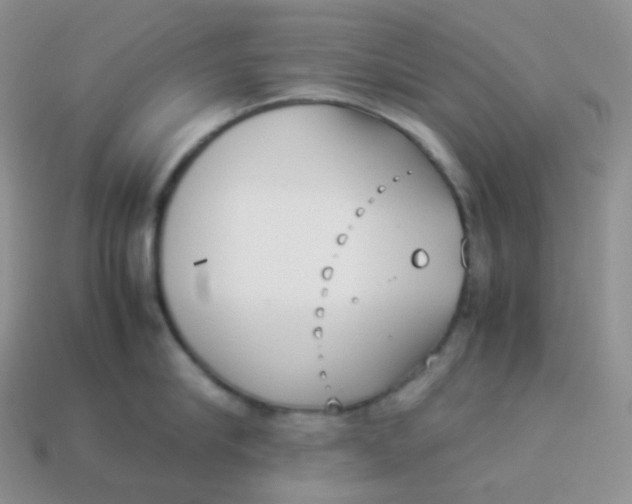 X0000113910910200910151415