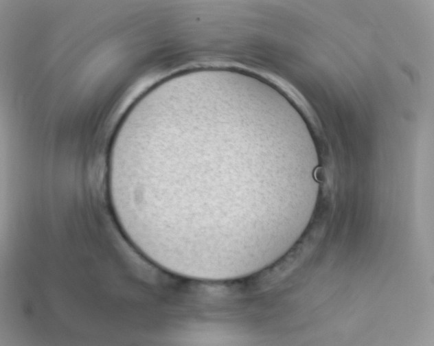 X0000113910911200910151415