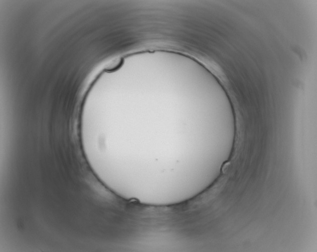 X0000113910912200910151415