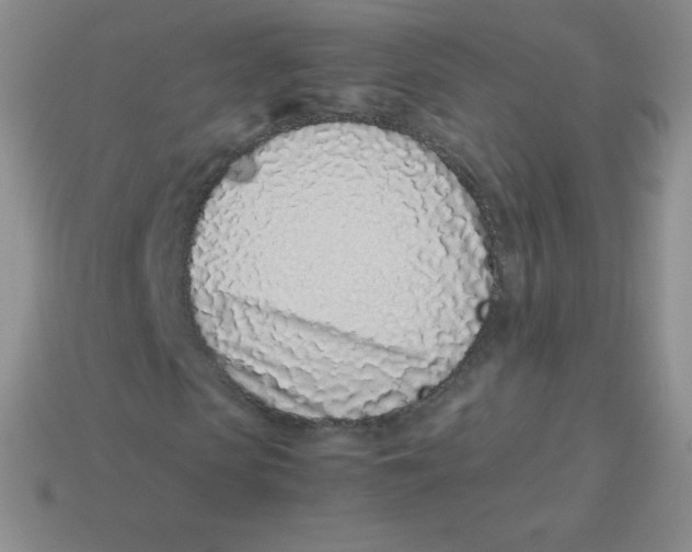 X0000113910913200910151414