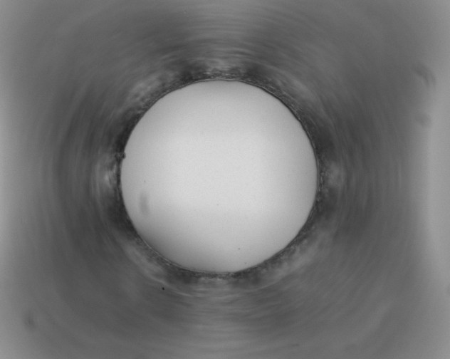 X0000113910914200910151414