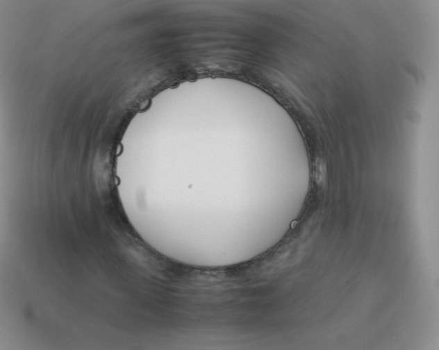 X0000113910915200910151414