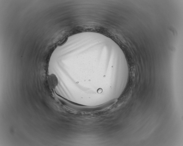 X0000113910916200910151414