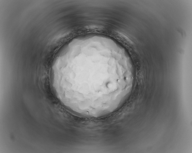 X0000113910917200910151414