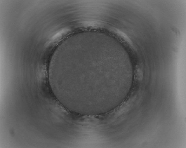 X0000113910918200910151414