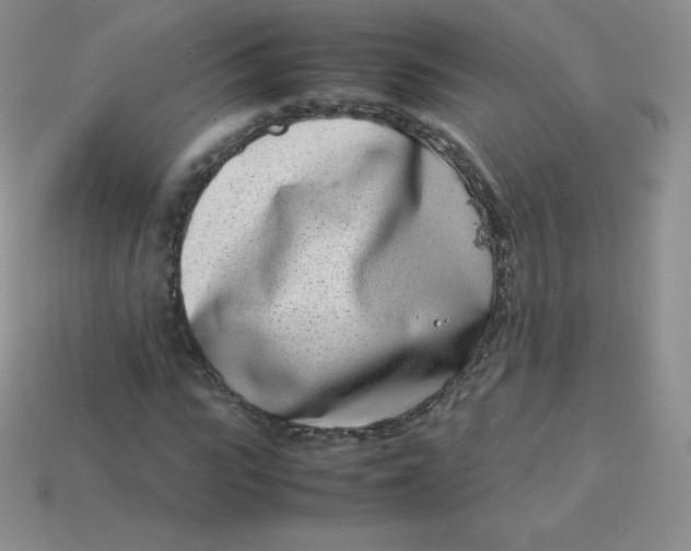 X0000113910919200910151414