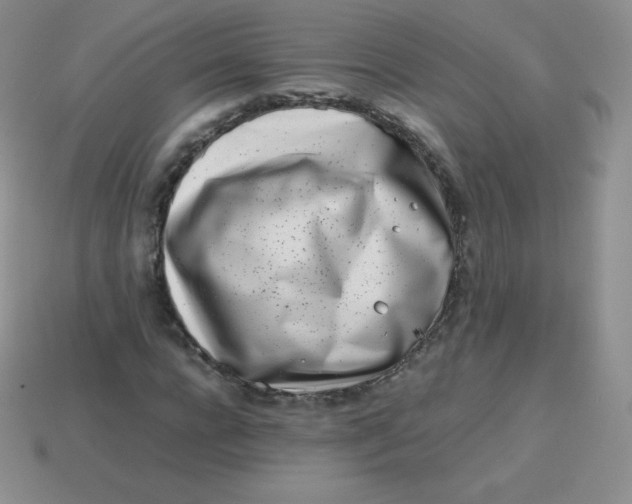 X0000113910920200910151414