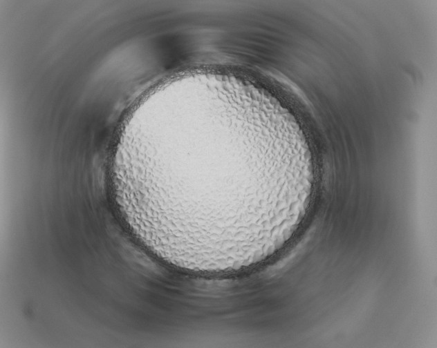 X0000113910921200910151414