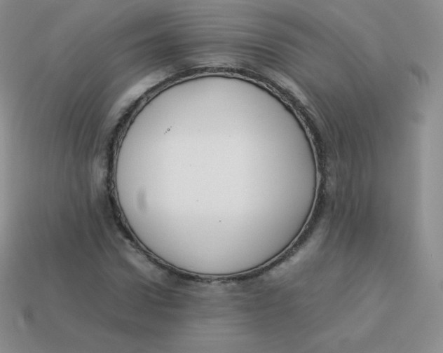 X0000113910922200910151414