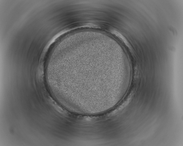 X0000113910923200910151414