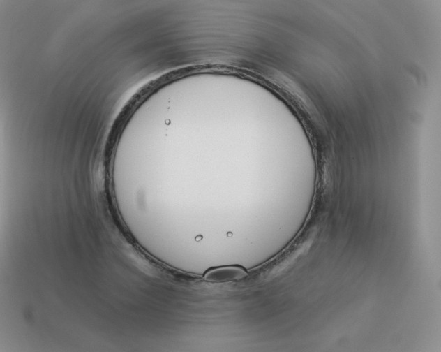 X0000113910924200910151414