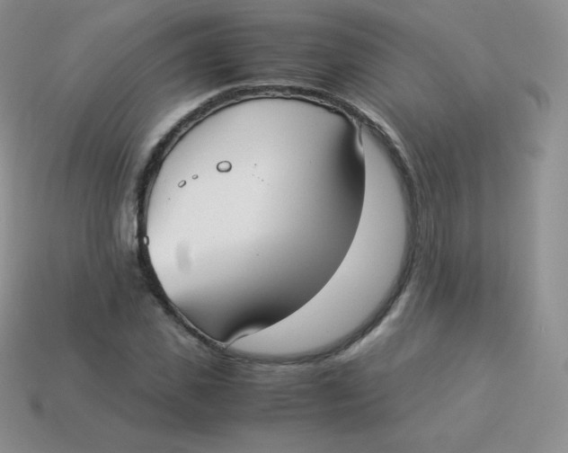 X0000113910925200910151414