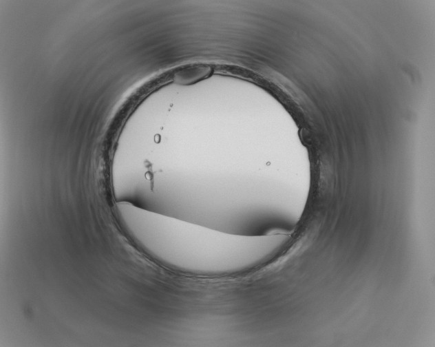 X0000113910926200910151414