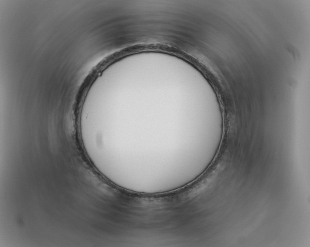 X0000113910927200910151414