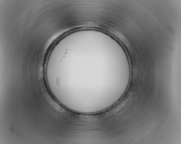 X0000113910928200910151414