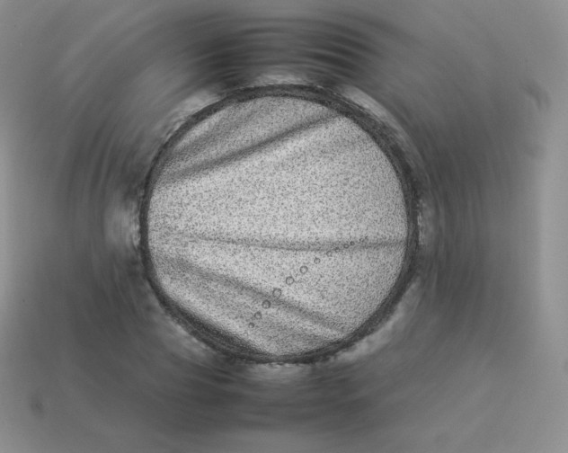 X0000113910929200910151414