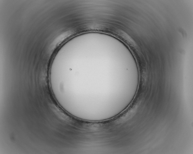 X0000113910930200910151414