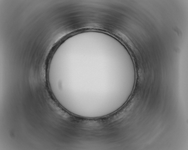 X0000113910931200910151414