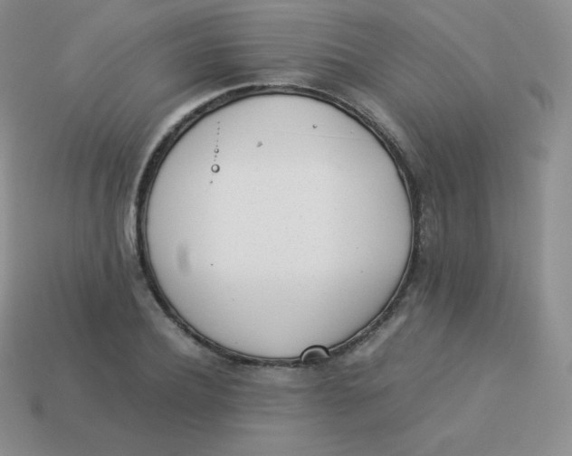 X0000113910932200910151414