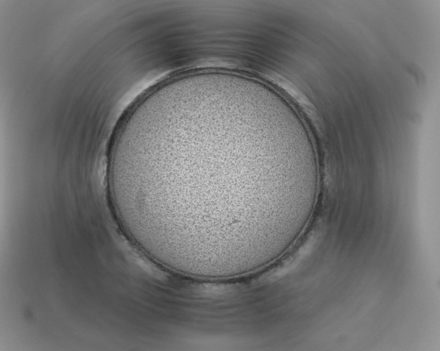 X0000113910933200910151415