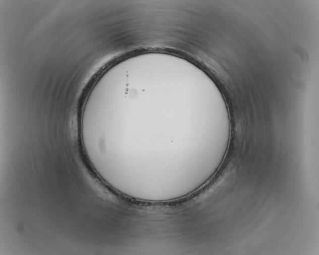 X0000113910934200910151415