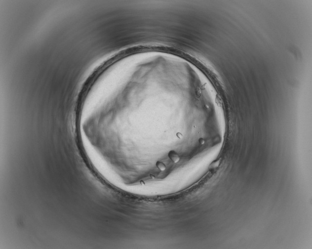 X0000113910935200910151415