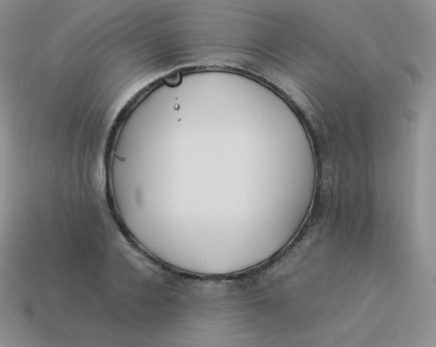 X0000113910936200910151415