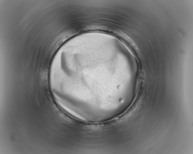 X0000113910937200910151415