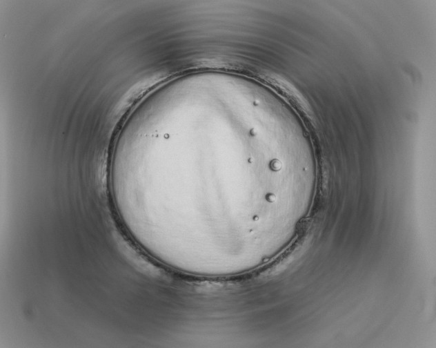 X0000113910938200910151415