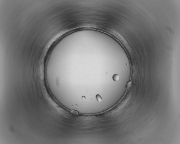 X0000113910939200910151415