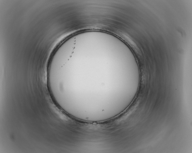 X0000113910940200910151415