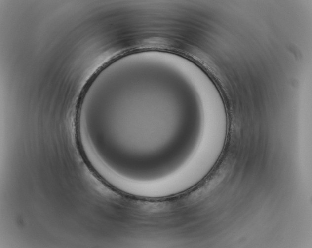 X0000113910941200910151415