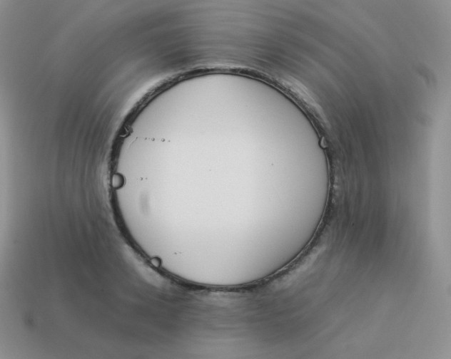 X0000113910942200910151415