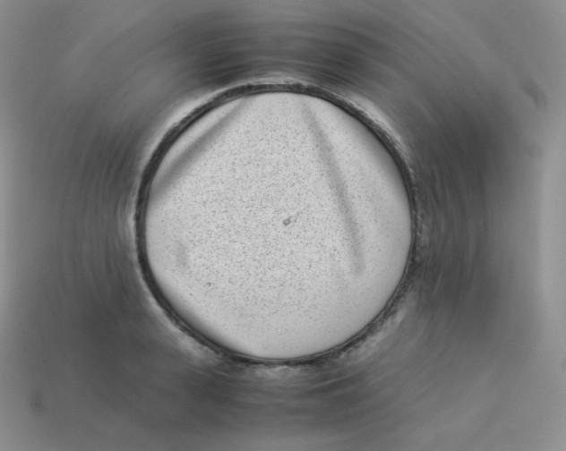 X0000113910943200910151415