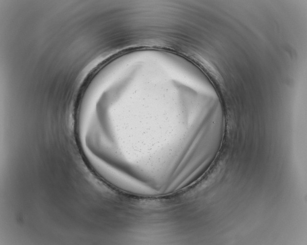 X0000113910944200910151415