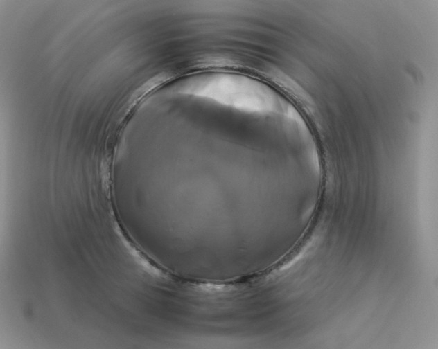 X0000113910945200910151415