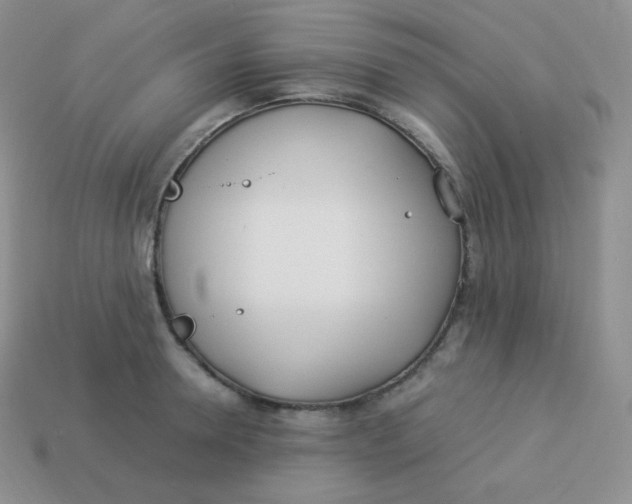 X0000113910946200910151415