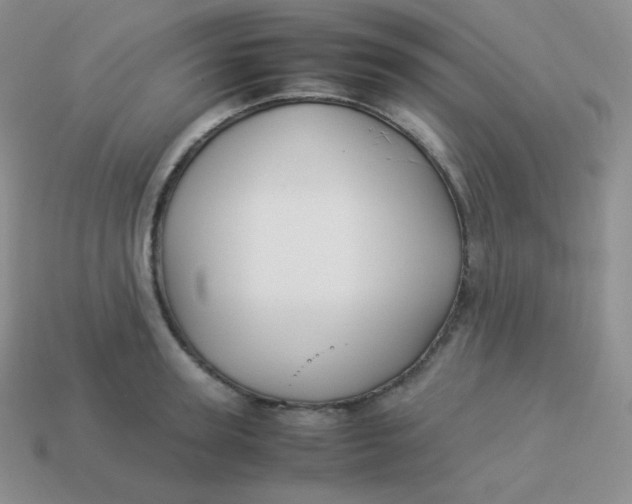 X0000113910947200910151415