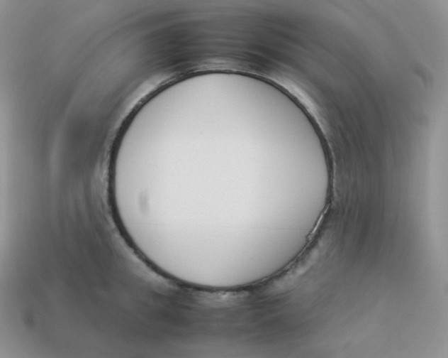 X0000113910949200910151415