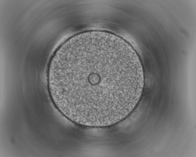 X0000113910950200910151415