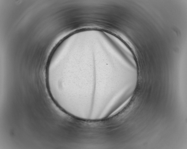 X0000113910951200910151415