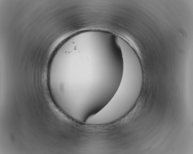 X0000113910952200910151415