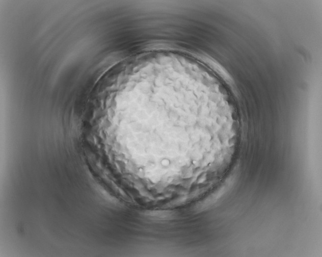 X0000113910953200910151415