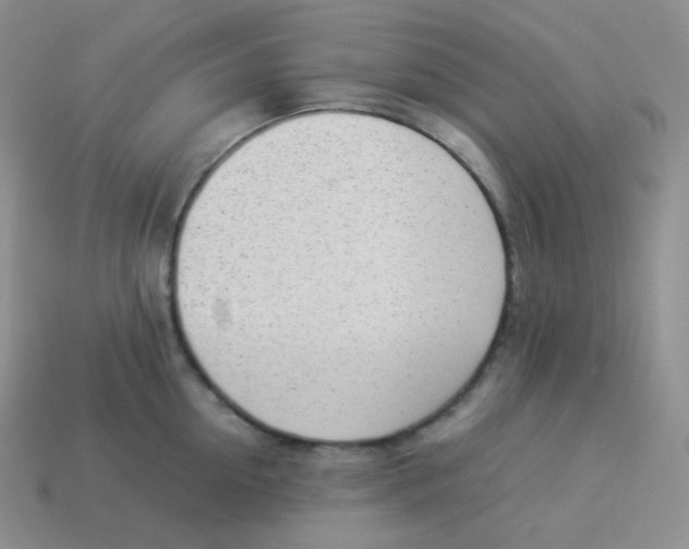 X0000113910954200910151415