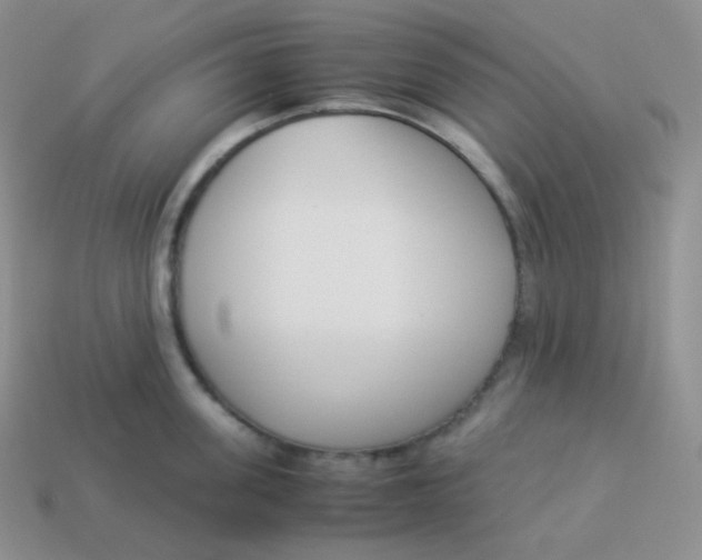 X0000113910955200910151415