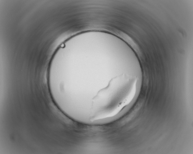 X0000113910958200910151415